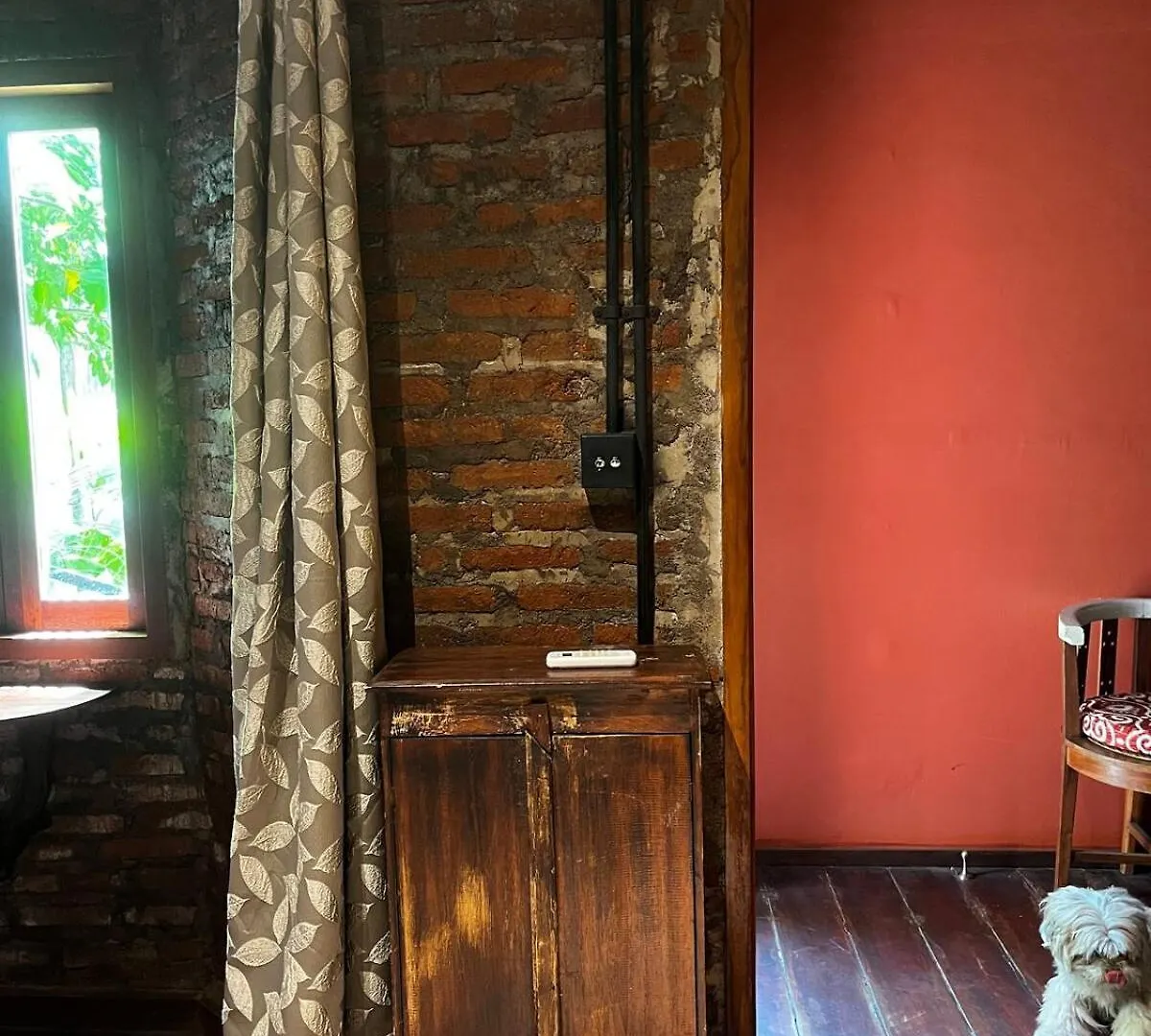 1 Bedroom Cozy Apartment In Center Of Seminyak